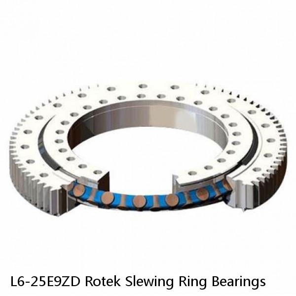 L6-25E9ZD Rotek Slewing Ring Bearings