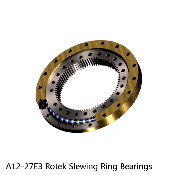 A12-27E3 Rotek Slewing Ring Bearings