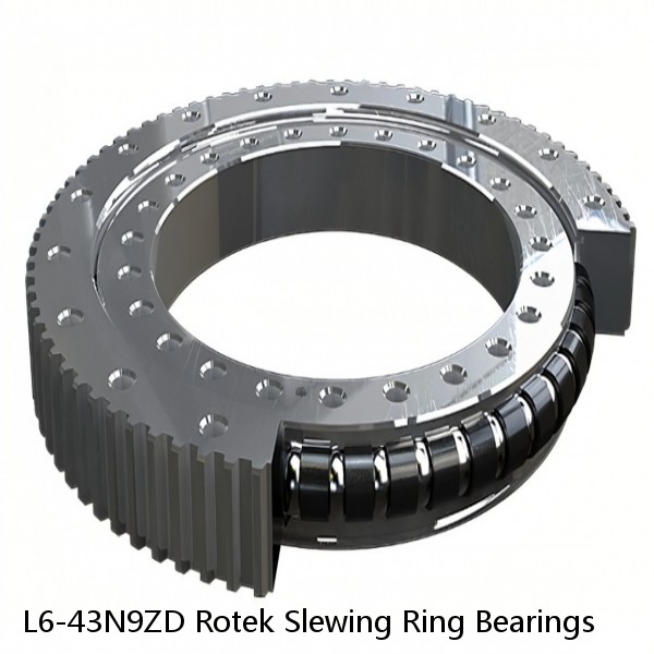 L6-43N9ZD Rotek Slewing Ring Bearings