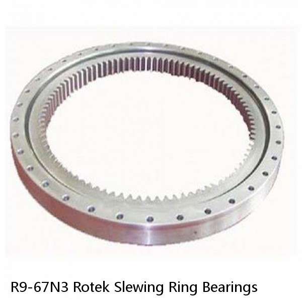 R9-67N3 Rotek Slewing Ring Bearings