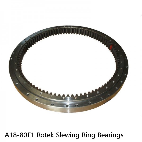 A18-80E1 Rotek Slewing Ring Bearings