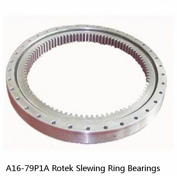 A16-79P1A Rotek Slewing Ring Bearings