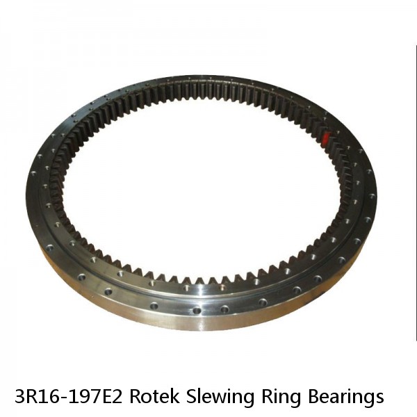 3R16-197E2 Rotek Slewing Ring Bearings