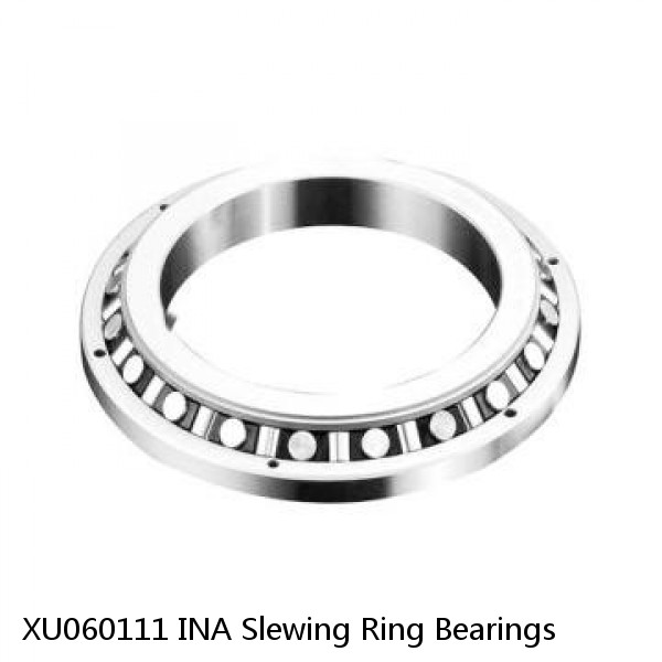 XU060111 INA Slewing Ring Bearings