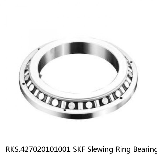 RKS.427020101001 SKF Slewing Ring Bearings