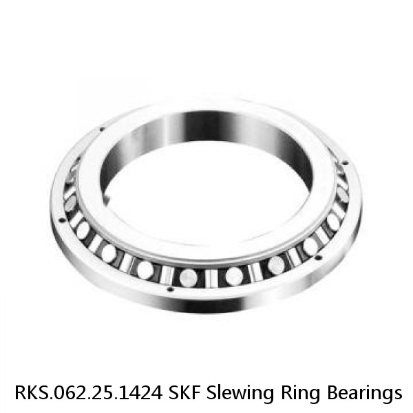 RKS.062.25.1424 SKF Slewing Ring Bearings