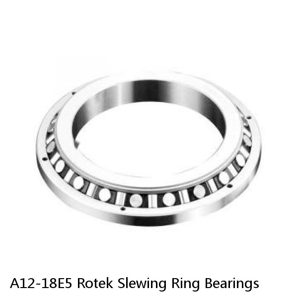 A12-18E5 Rotek Slewing Ring Bearings