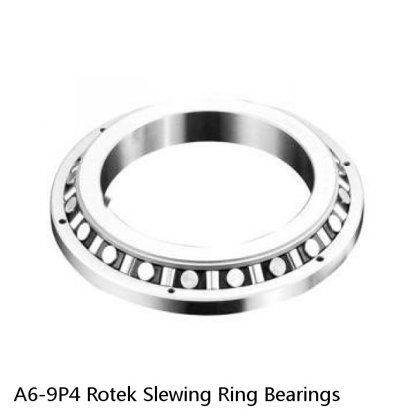 A6-9P4 Rotek Slewing Ring Bearings