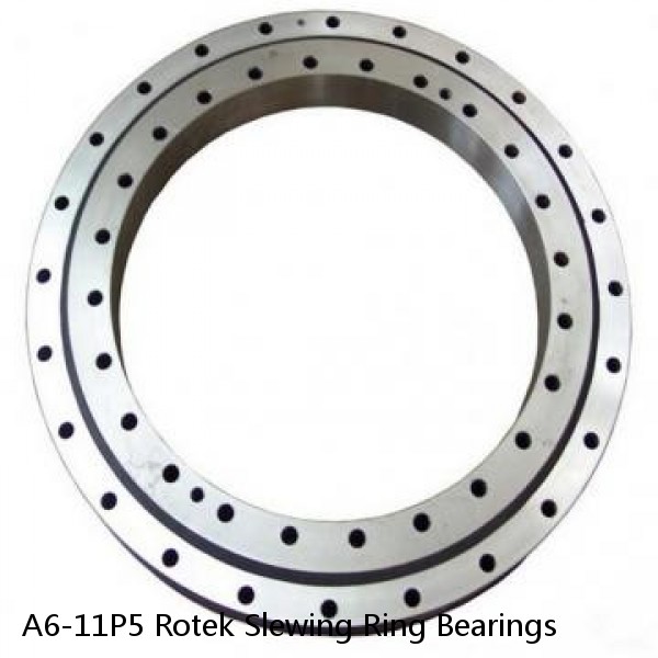 A6-11P5 Rotek Slewing Ring Bearings