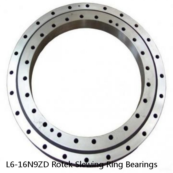 L6-16N9ZD Rotek Slewing Ring Bearings