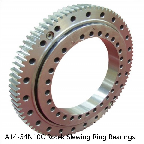 A14-54N10C Rotek Slewing Ring Bearings