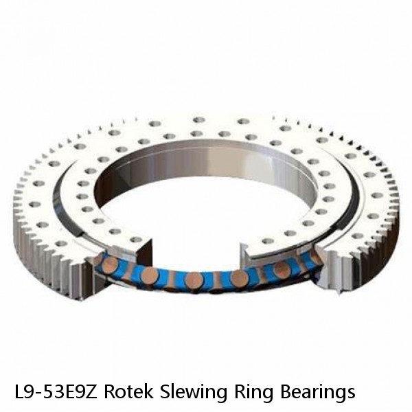 L9-53E9Z Rotek Slewing Ring Bearings