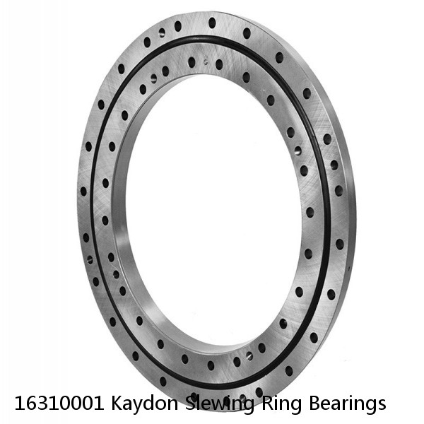 16310001 Kaydon Slewing Ring Bearings