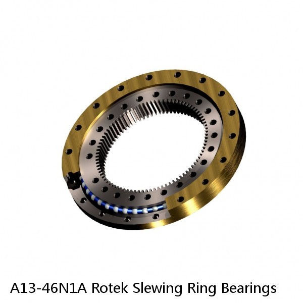 A13-46N1A Rotek Slewing Ring Bearings