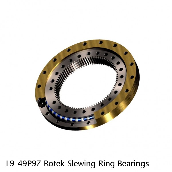 L9-49P9Z Rotek Slewing Ring Bearings