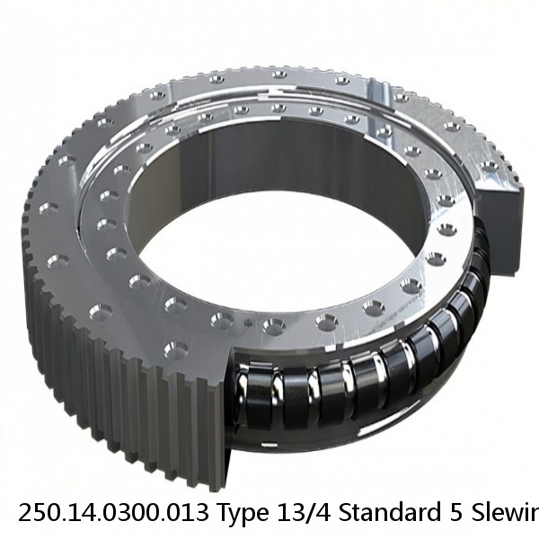 250.14.0300.013 Type 13/4 Standard 5 Slewing Ring Bearings