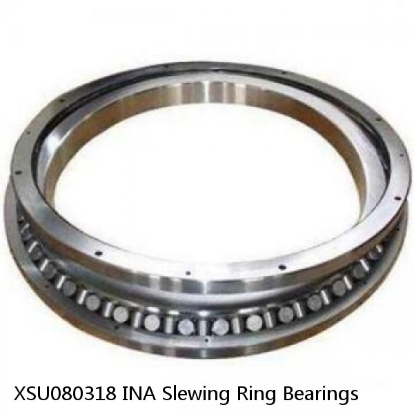 XSU080318 INA Slewing Ring Bearings