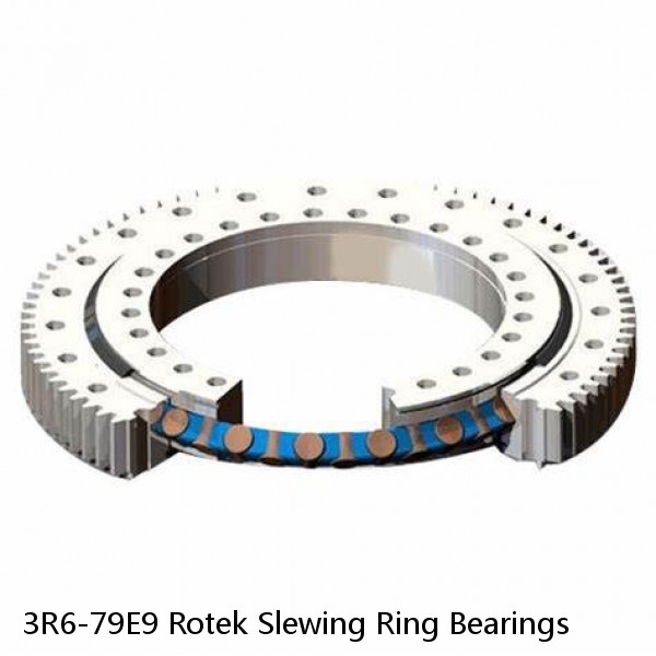 3R6-79E9 Rotek Slewing Ring Bearings