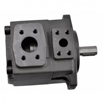 Yeoshe Series PV2r1/PV2r2 Hydraulic Vane Pump