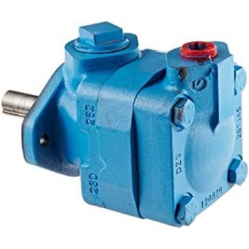 V10, V20 Vickers Vane Pump and Cartridge Kits