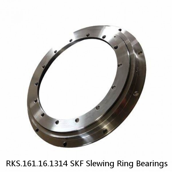 RKS.161.16.1314 SKF Slewing Ring Bearings