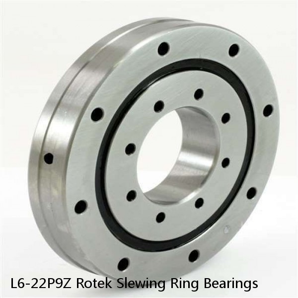 L6-22P9Z Rotek Slewing Ring Bearings