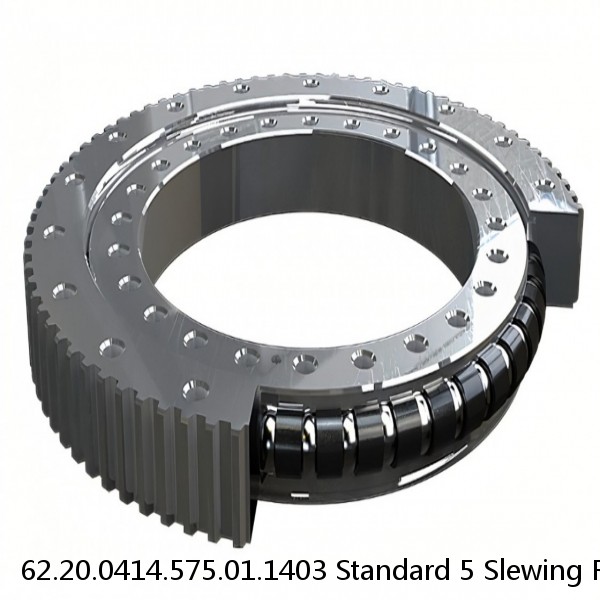 62.20.0414.575.01.1403 Standard 5 Slewing Ring Bearings