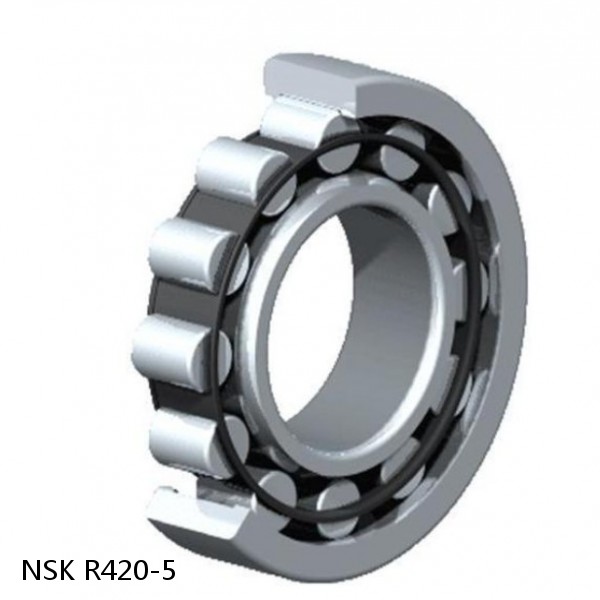 R420-5 NSK CYLINDRICAL ROLLER BEARING