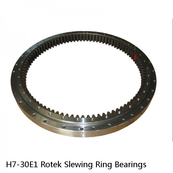 H7-30E1 Rotek Slewing Ring Bearings