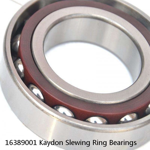 16389001 Kaydon Slewing Ring Bearings