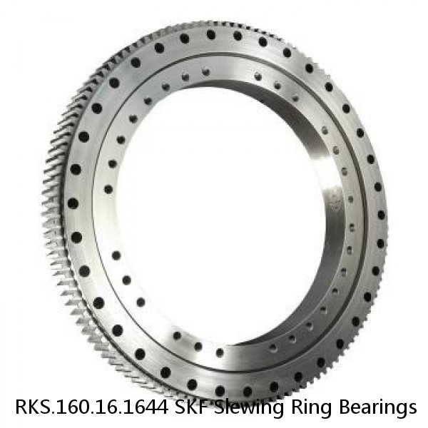 RKS.160.16.1644 SKF Slewing Ring Bearings