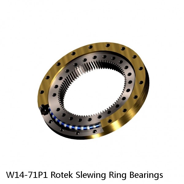 W14-71P1 Rotek Slewing Ring Bearings