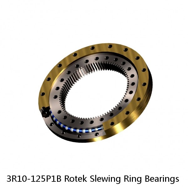 3R10-125P1B Rotek Slewing Ring Bearings