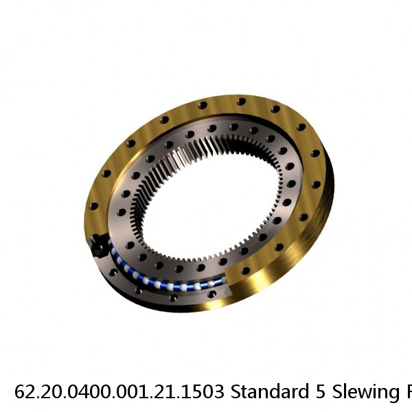 62.20.0400.001.21.1503 Standard 5 Slewing Ring Bearings