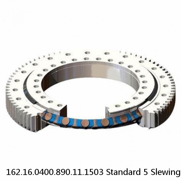 162.16.0400.890.11.1503 Standard 5 Slewing Ring Bearings