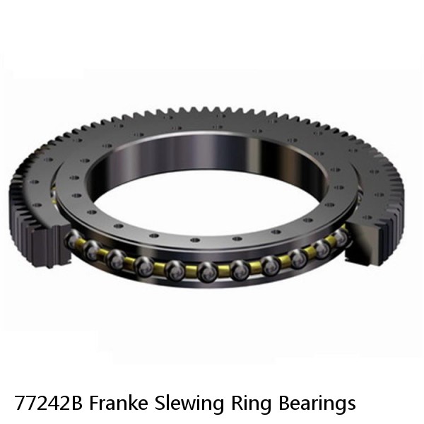 77242B Franke Slewing Ring Bearings